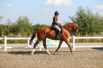 SBM_02206
