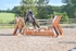 BPP_3727