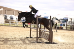 SBM_003649