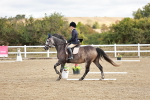 SBM_009878