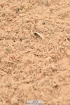 230720A-122102-02526