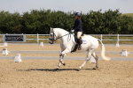 SBM_003456