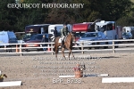 BPP_8733