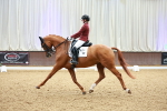 SBM_004404