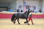 SBM_16705