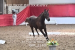 BPP_2143