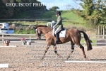 BPP_9551