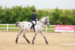 SBM_005915