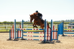 SBM_001188