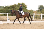 SBM_008631
