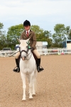Class 701 - Best Turned Out (IH  or Ridden) portfolio