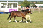 SBM_10360
