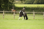 SBM_71586