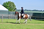 SBM_12233