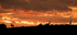 Safari sunset