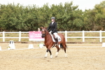 SBM_002733