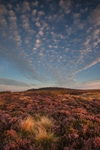 Stanage Edge, Peak District