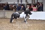 BPP_0129