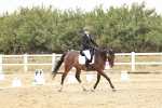 SBM_003010