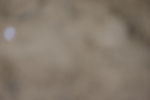 20260913-0825