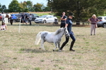 WJ6_7069