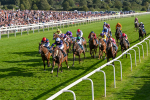 240824-Race 7-Sir Busker-1976