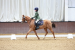 SBM_000079