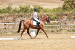 SBM_002905