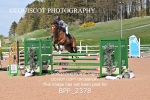 BPP_2378