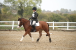 SBM_001383