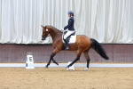 SBM_000263
