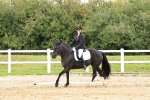 SBM_000261