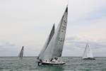 150816 FASTNET RACE FRA 36859 WT7A9735