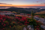 1st Light - Cadillac Mountain
