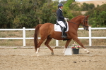 SBM_011995