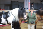 SBM_09558