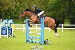 6YO Final Jump off portfolio