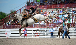 3HRodeo_CFD_JUL_25_2026_01917_Brody_Cress