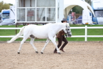 SBM_05110