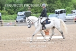 BPP_9384