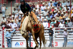 3HRodeo7-20-25_CFD_03306_