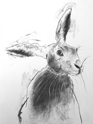 open edition prints portfolio