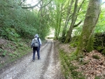 074 Our leader for the day leads us to lunch by Little Mill