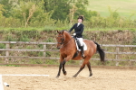 SBM_001775