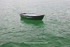 Green boat in the green sea.     ref no 8824