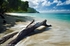 Lower Bay, Bequia