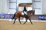 SBM_001989