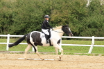 SBM_003528
