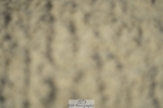 230909-100542-04777