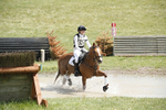 BVHT 140517  IXC -273